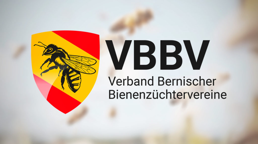 VBBV Logo 1